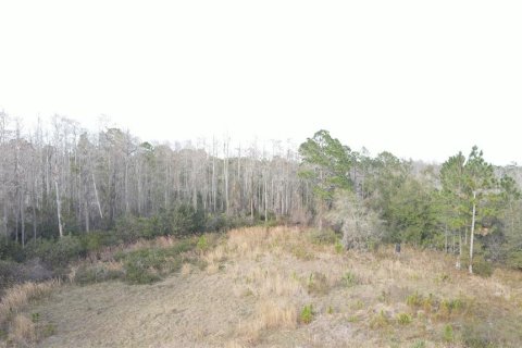 Terreno en venta en Geneva, Florida № 1800075 - foto 10