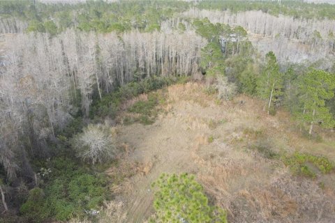 Terreno en venta en Geneva, Florida № 1800075 - foto 9