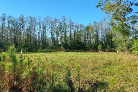 Terreno en venta en Geneva, Florida № 1800075 - foto 3