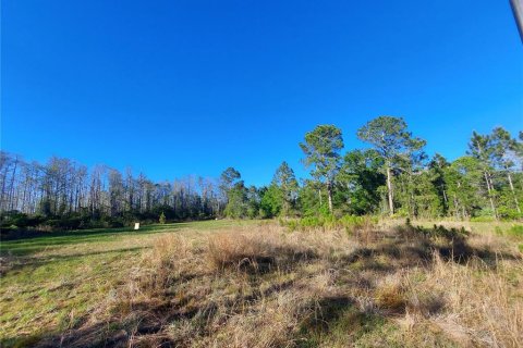 Terreno en venta en Geneva, Florida № 1800075 - foto 5