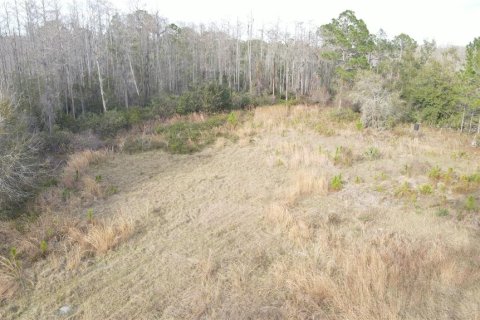 Terreno en venta en Geneva, Florida № 1800075 - foto 7