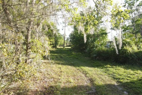 Terreno en venta en Geneva, Florida № 1800075 - foto 8