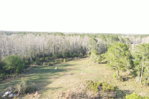 Terreno en venta en Geneva, Florida № 1800075 - foto 11