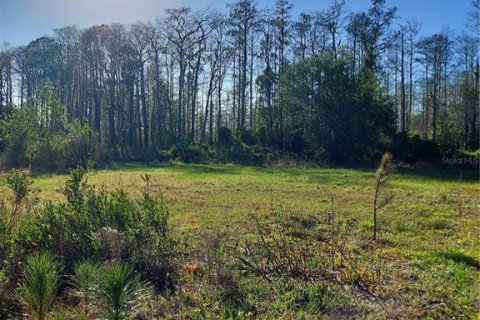 Terreno en venta en Geneva, Florida № 1800075 - foto 2