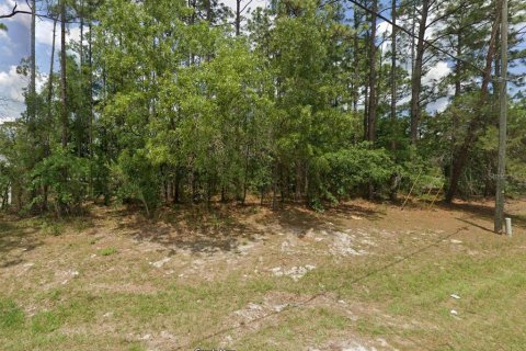 Terrain à Ocala, Floride № 2161409