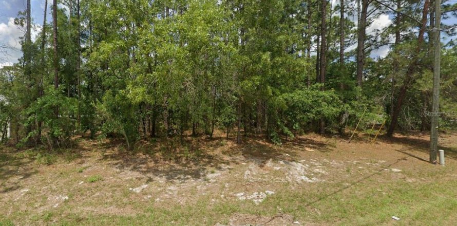 Terrain à Ocala, Floride № 2161409