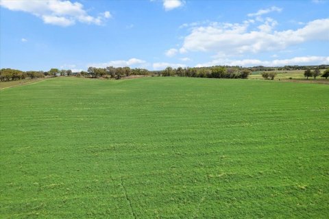 Land in Dunnellon, Florida № 1572465 - photo 11