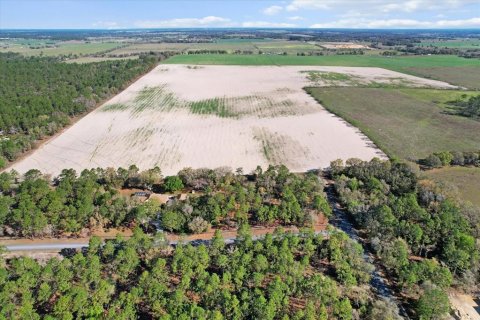 Terreno en venta en Dunnellon, Florida № 1572465 - foto 18