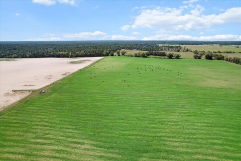 Terreno en venta en Dunnellon, Florida № 1572465 - foto 9