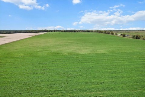 Terreno en venta en Dunnellon, Florida № 1572465 - foto 12