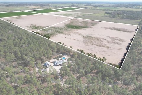Land in Dunnellon, Florida № 1572465 - photo 16