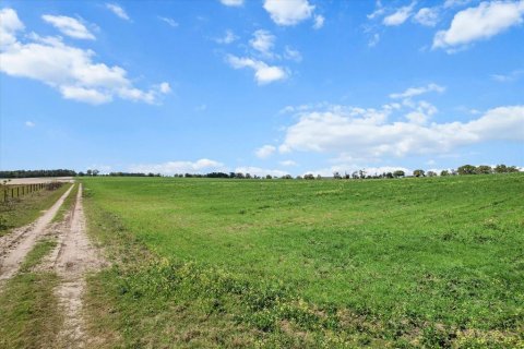 Land in Dunnellon, Florida № 1572465 - photo 4