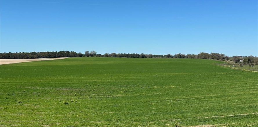 Terreno en Dunnellon, Florida № 1572465