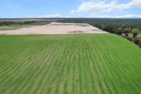 Land in Dunnellon, Florida № 1572465 - photo 8