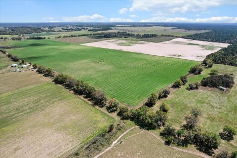 Terreno en venta en Dunnellon, Florida № 1572465 - foto 5