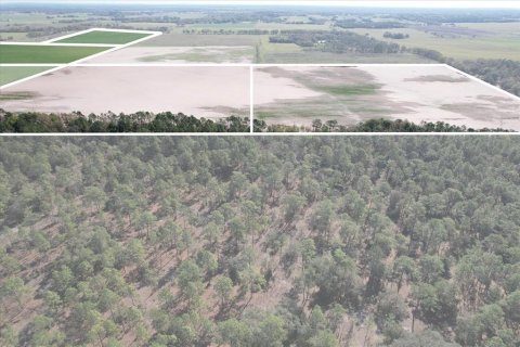 Land in Dunnellon, Florida № 1572465 - photo 19