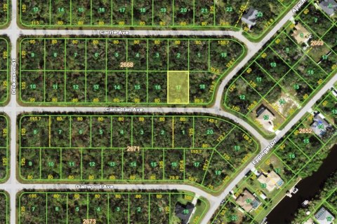 Land in Port Charlotte, Florida № 2165741