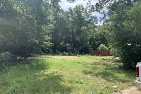Land in Pensacola, Florida № 590083 - photo 1