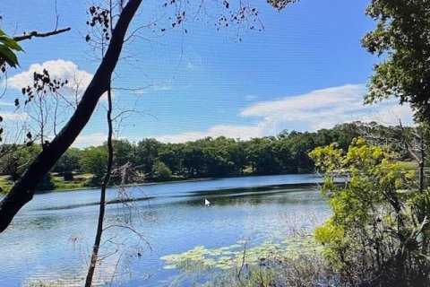 Land in Fruitland Park, Florida № 2123242