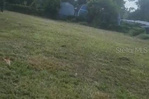 Land in Tampa, Florida № 2384419 - photo 4