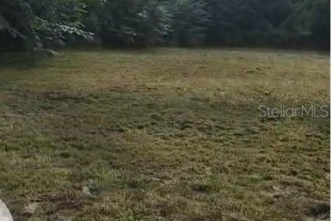 Land in Tampa, Florida № 2384419 - photo 2