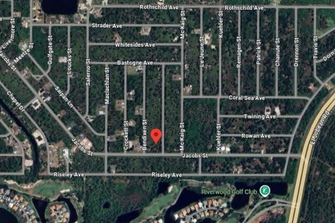 Land in Port Charlotte, Florida № 2161537