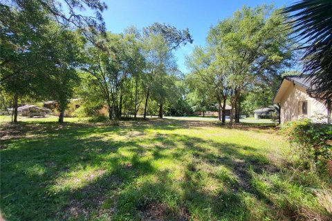 Land in Inverness, Florida № 2159206 - photo 3