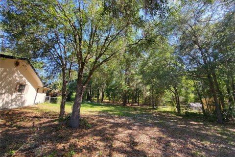 Land in Inverness, Florida № 2159206 - photo 4