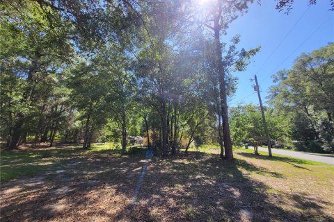 Land in Inverness, Florida № 2159206 - photo 2