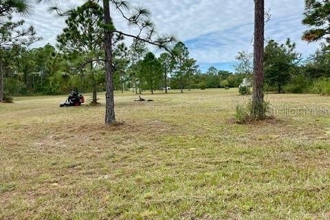Terrain à vendre à Orlando, Floride № 2201601 - photo 6