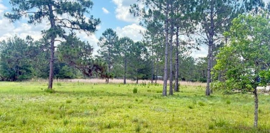 Terrain à Orlando, Floride № 2201601