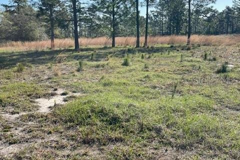 Terrain à vendre à Orlando, Floride № 2201601 - photo 2