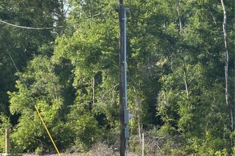 Land in Bell, Florida № 1783486 - photo 1