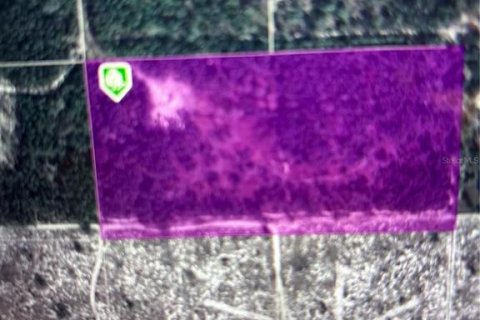 Land in Bell, Florida № 1783486 - photo 4