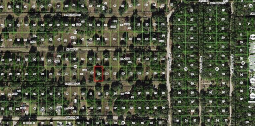 Land in Inverness, Florida № 2160382