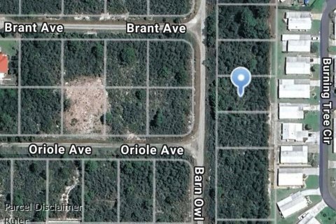 Land in Sebring, Florida № 2163070 - photo 2