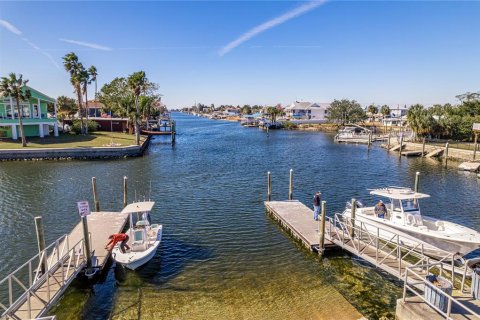 Land in Hernando Beach, Florida № 1798095 - photo 20