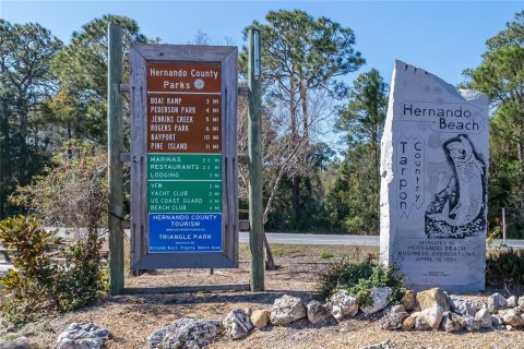 Land in Hernando Beach, Florida № 1798095 - photo 16