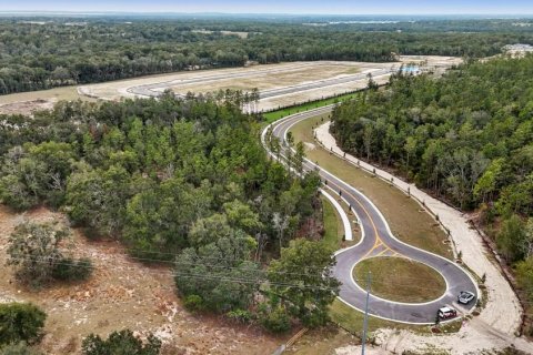 Terreno en venta en Mount Dora, Florida № 2109222 - foto 2