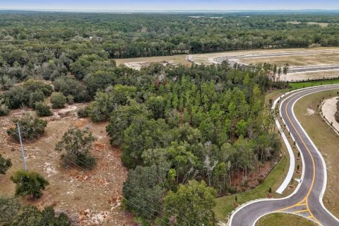 Terreno en venta en Mount Dora, Florida № 2109222 - foto 3