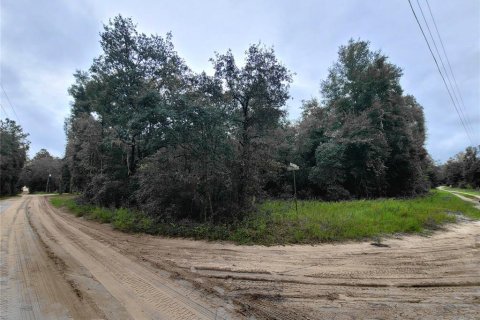 Land in Bronson, Florida № 2277233