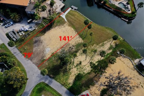 Land in Crystal River, Florida № 2196854 - photo 3