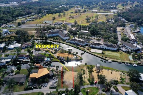 Land in Crystal River, Florida № 2196854 - photo 4