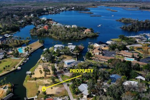 Land in Crystal River, Florida № 2196854 - photo 5