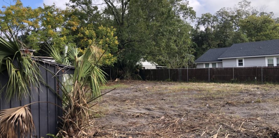 Land in Jacksonville, Florida № 777702