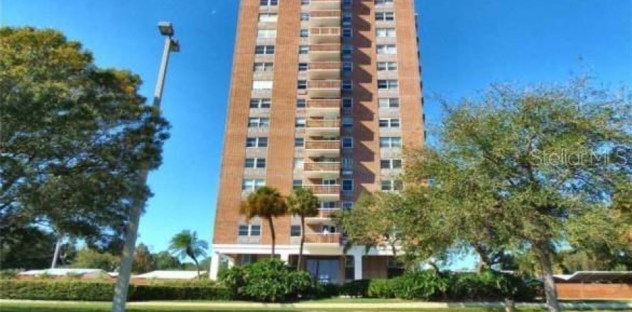 Condo à Tampa, Floride, 1 chambre № 1641039