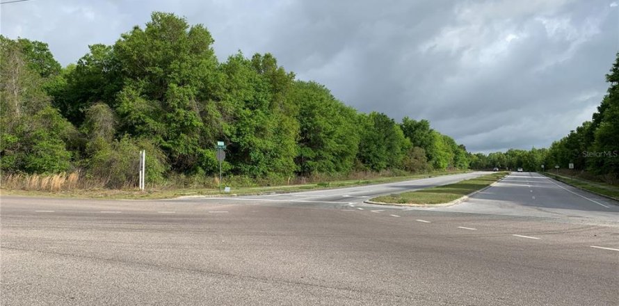 Terrain à Ocala, Floride № 925956
