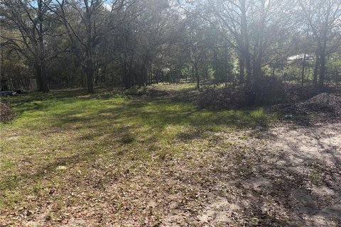 House in Bronson, Florida 2 bedrooms, 68 sq.m. № 2266572 - photo 30