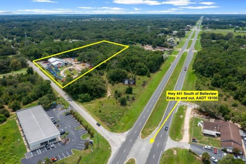 Propiedad comercial en alquiler en Belleview, Florida № 1833462 - foto 6