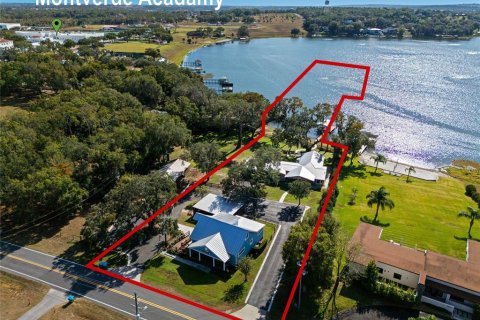 House in Montverde, Florida 6 bedrooms, 392.88 sq.m. № 2157038